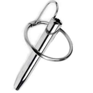 Stainless Steel Day And Night Prince Plug