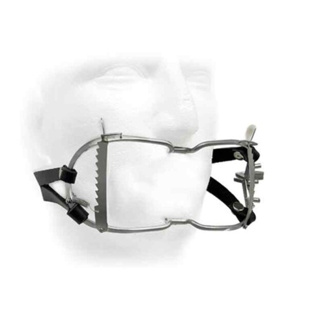 Whitehead Ratchet Mouth Gag With Leather Strap
