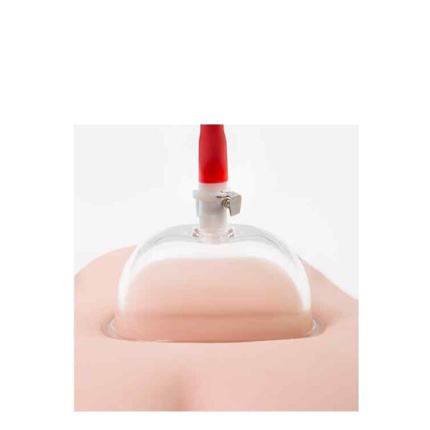 Temptasia Advanced Pussy Pump System