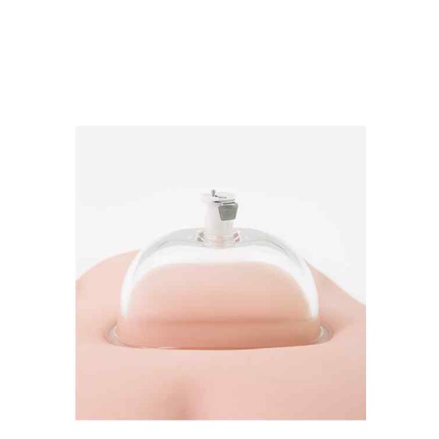 Temptasia Advanced Pussy Pump System