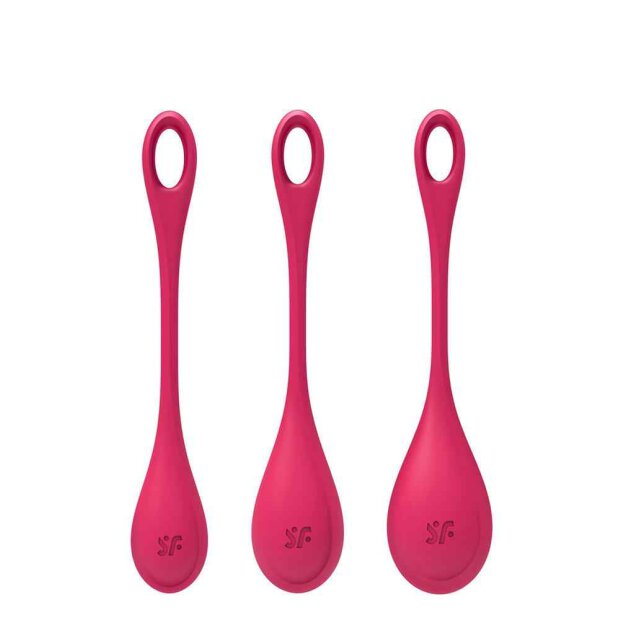 Satisfyer Yoni Power 1 Training Set Rot
