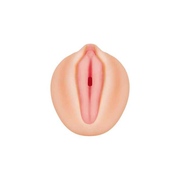 Zero Tolerance Alexis Texas Realistic Vagina Stroker