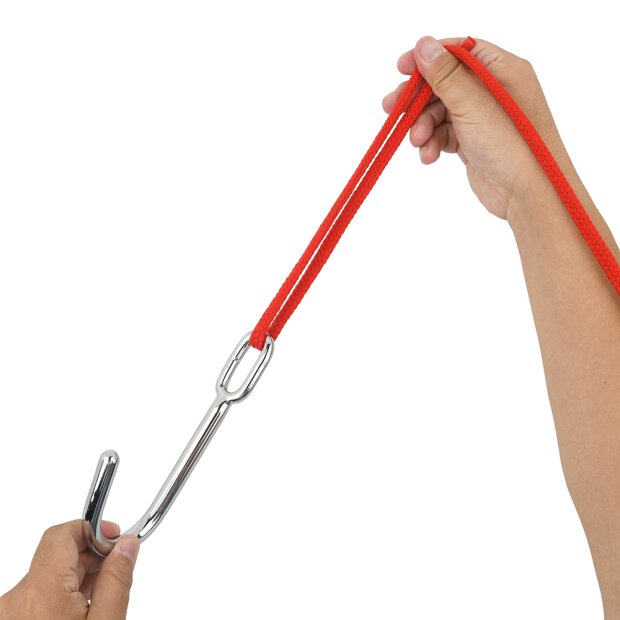 Single Anal Metal Hook