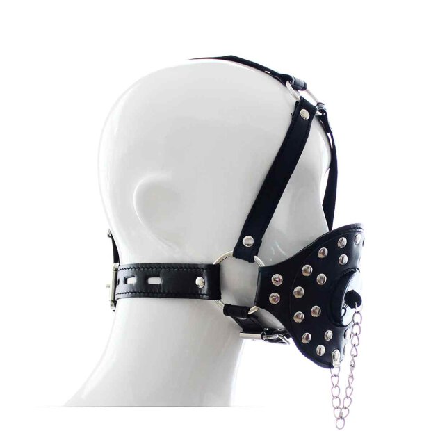 Lid Head Harness Gag