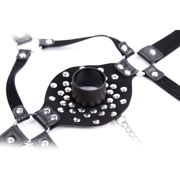 Lid Head Harness Gag