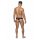 Hose Thong - Black - L/XL