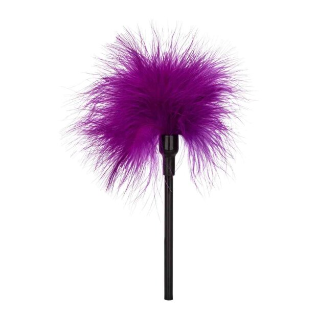 CalExotics verspielter Tickler