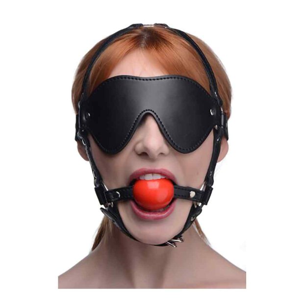 ST Blindfold Harness with Ball Gag