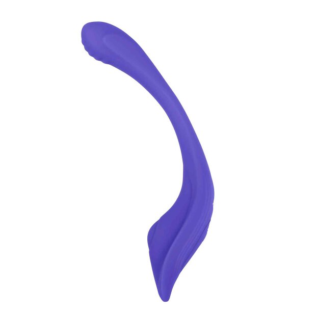 Evolved Anywhere Vibe