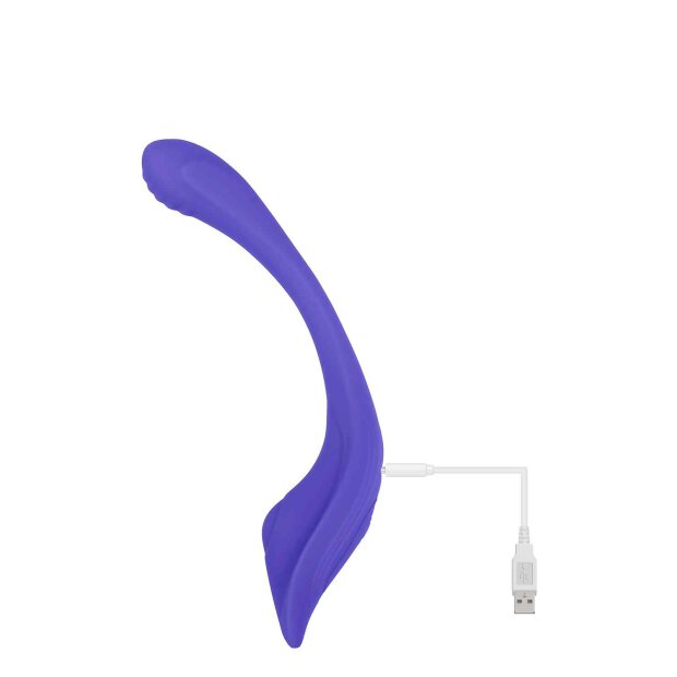 Evolved Anywhere Vibe