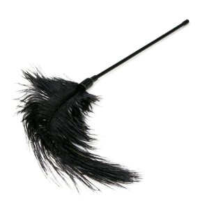 Black Feather Tickler