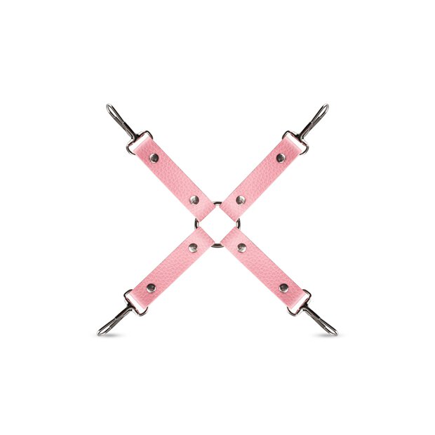 Secret Pleasure Chest Pink Pleasure