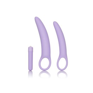 Isabelle Set of 2 Dilators Purple