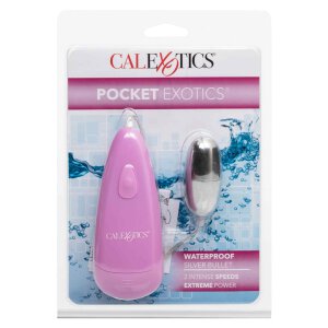 Pocket Waterproof Bullet Silver