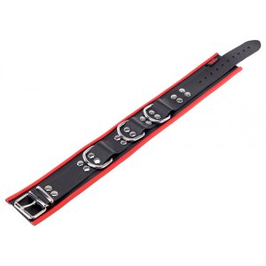 Leather Necklace with 3 Red D-Rings