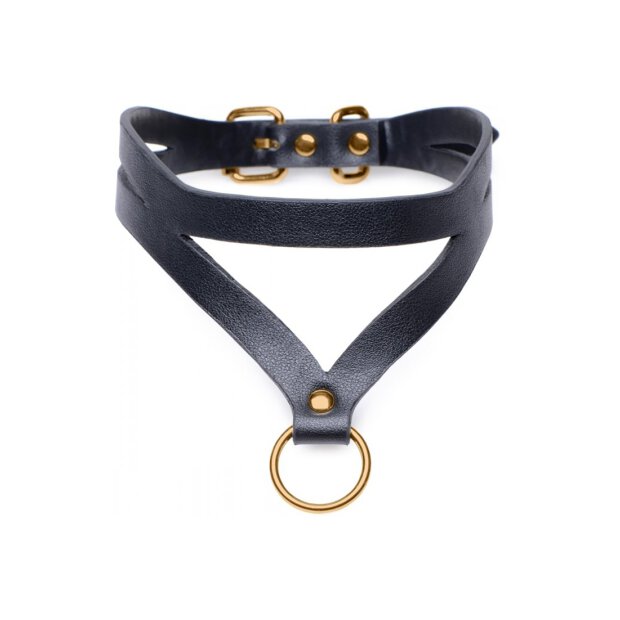 Master Series Bondage Baddie Collar w/ O-Ring - Black & Gold