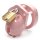 CB-X Mini Me Chastity Cock Cage Pink