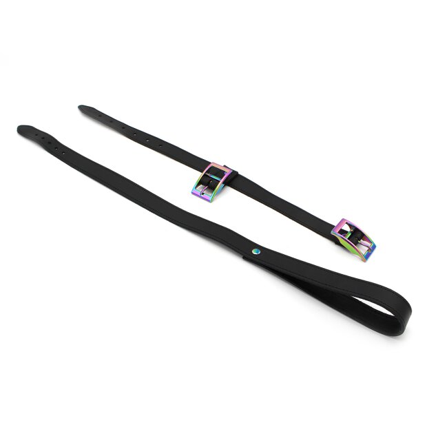 Leather Collar with leash Rainbow