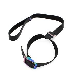 Leather Collar with leash Rainbow