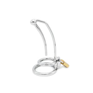 Penis Lock with Hollow Curved Penis Stick