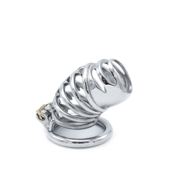 Modern Torture Chastity Device