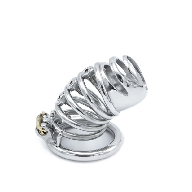 Modern Torture Chastity Device
