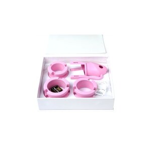 Birdlocked Silicone Chastity Cage 11 x 3.2 cm Pink