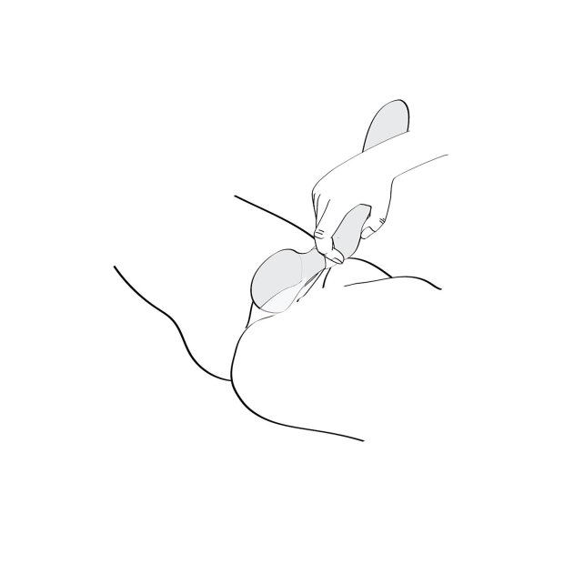 Shunga Zoa Raspberry