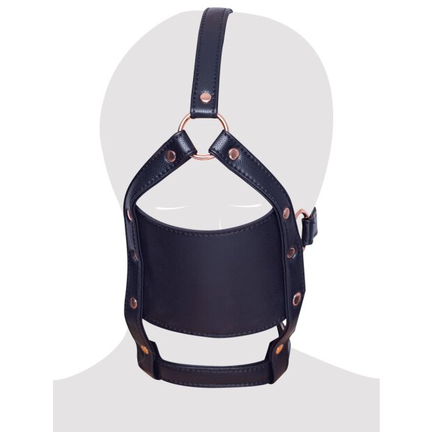 Bad Kitty head harness with a gag