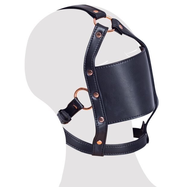 Bad Kitty head harness with a gag