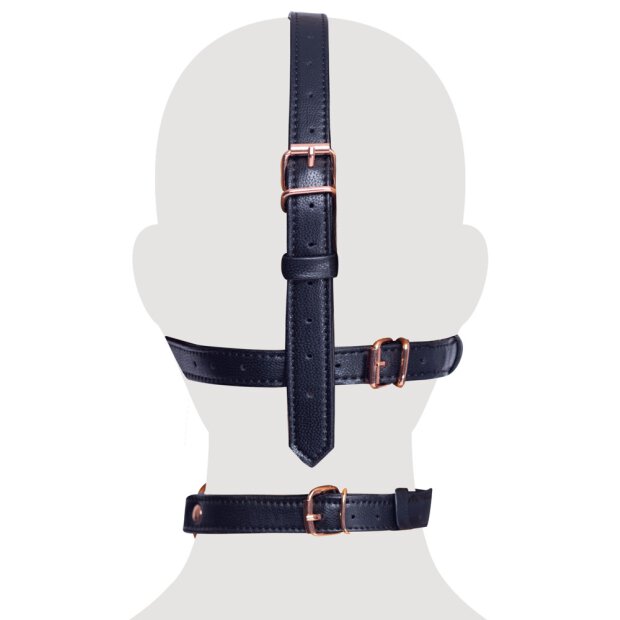 Bad Kitty head harness with a gag