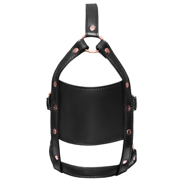 Bad Kitty head harness with a gag