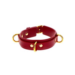 Taboom D-Ring Collar Deluxe red, gold