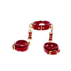 Taboom D-ring collar and wrist cuffs red, gold