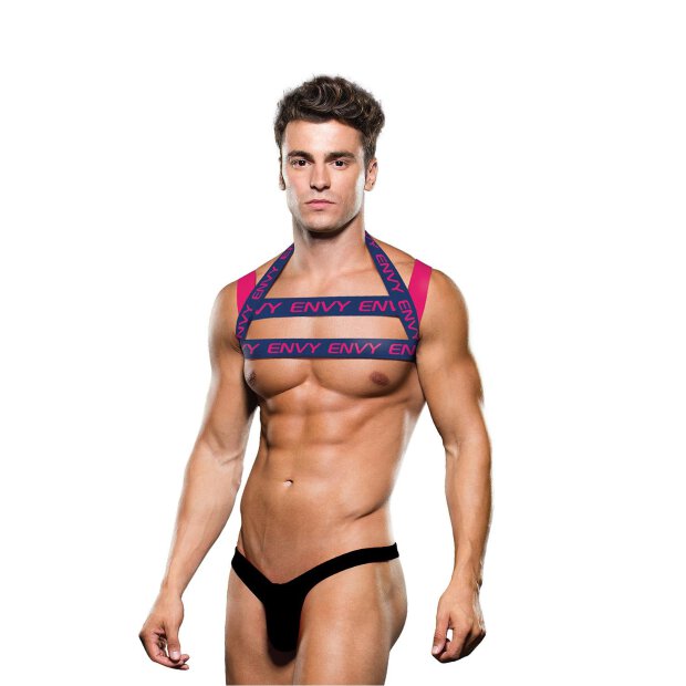 Envy Logo Harness Blue Pink S/M - L/XL