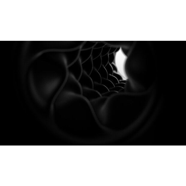 Arcwave Pow Masturbator schwarz