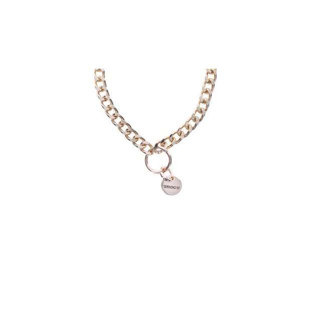 Statement Collar and leash