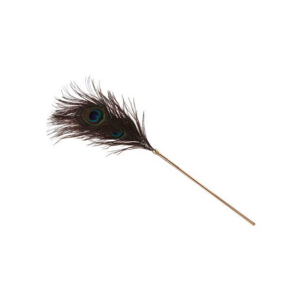 Peacock Tickler