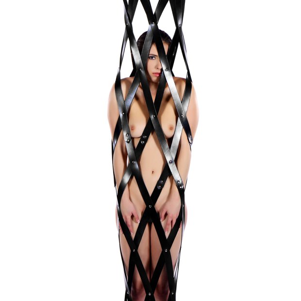 Hanging Leather Strap Cage