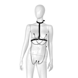 Leather Collar Chest with 4 Clamps