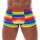 Mens Boxer Briefs Rainbow M