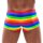 Mens Boxer Briefs Rainbow M
