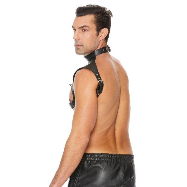 Shots mens harness with collar black one size fits all