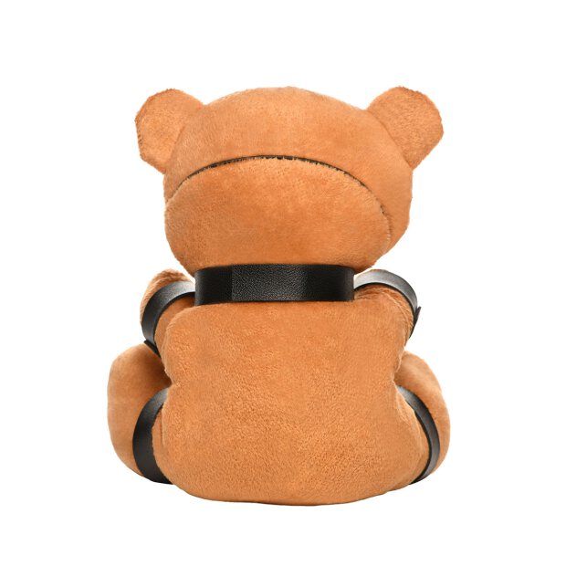 Master Series Gagged Teddy Bear Plush