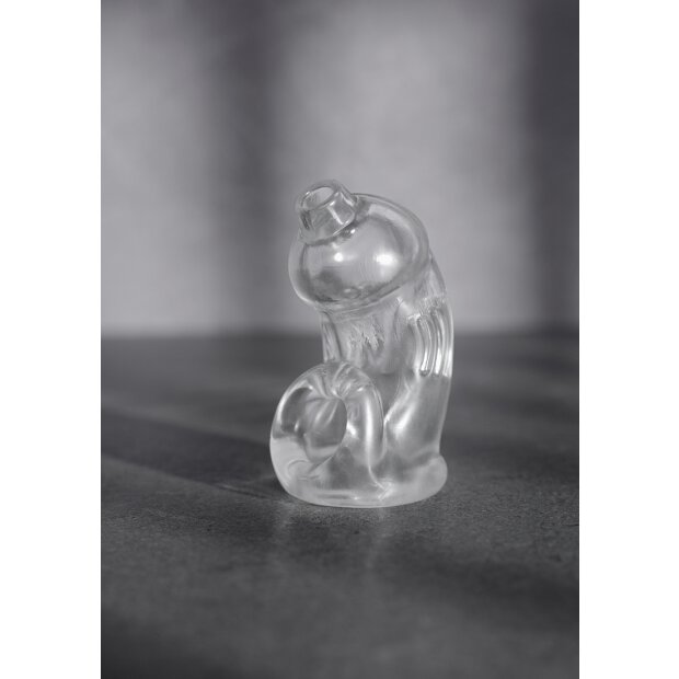 ManCage modèle 29 Cage de chasteté transparente 9,5 cm