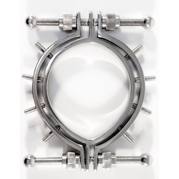 Stainless Steel Pussy Clamps With Spikes