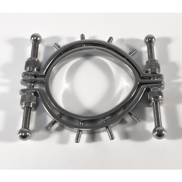 Stainless Steel Pussy Clamps With Spikes