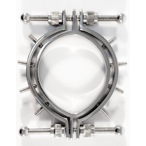 Stainless Steel Pussy Clamps With Spikes