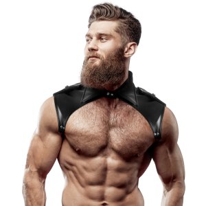 Fetish Submissive Attitude - Brigade Neck Harness...