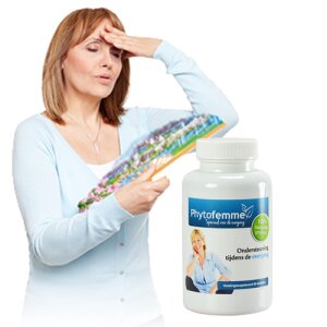 Morningstar Phytofemme 41 g